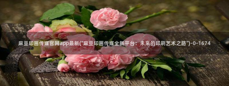麻豆文化传媒A官网最新