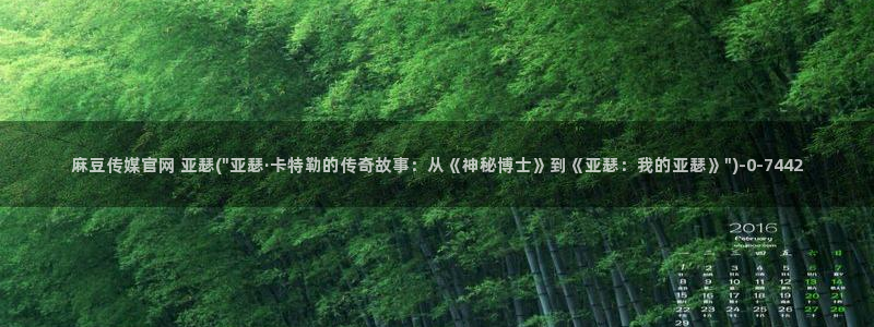 麻豆麻豆个传媒官网app黄