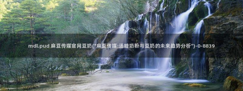 麻豆视传媒官网进入