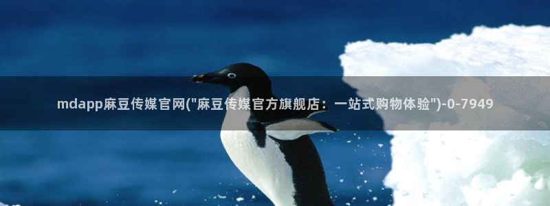 9 1麻豆传媒官网