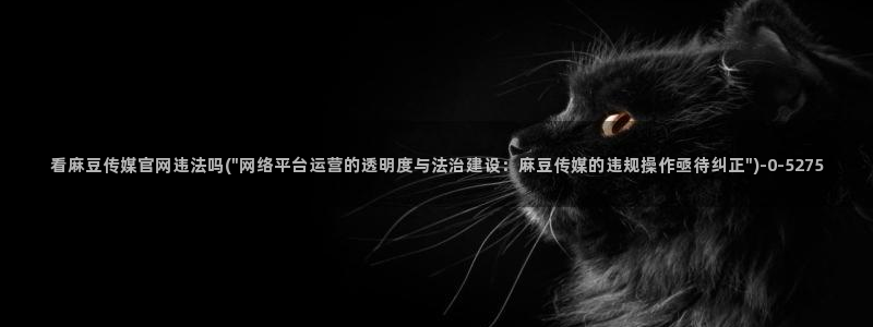 麻豆av传媒官网进入
