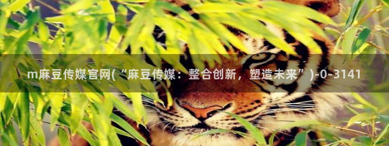 麻豆传媒官网版下载