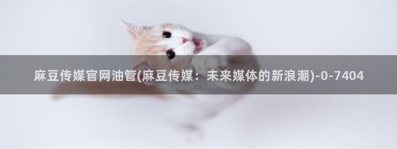 麻豆传媒官网破解