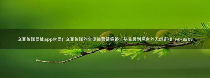 麻豆传媒直播官网传媒