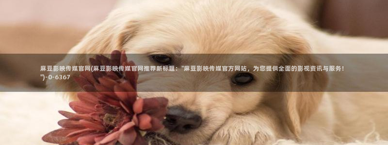 麻豆传媒官网多少啊：麻豆影映传媒官网(麻豆影映传媒官网推荐新标题：\