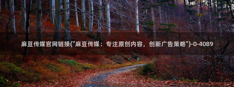 麻豆传媒官网介绍：麻豆传媒官网链接(\
