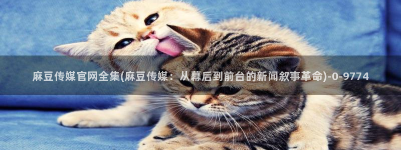 麻豆印象传媒官网：麻豆传媒官网全集(麻豆传媒：从幕后到前台的新闻叙事革命)