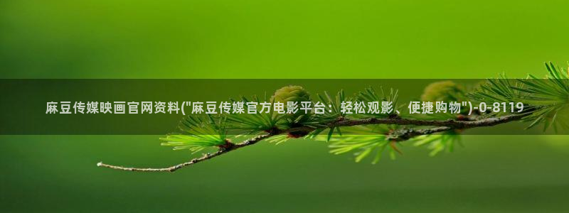 麻豆传媒官网樱桃cherry：麻豆传媒映画官网资料(\