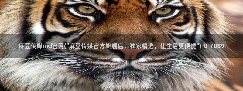 台湾麻豆映像传媒官网：麻豆传媒md官网(\