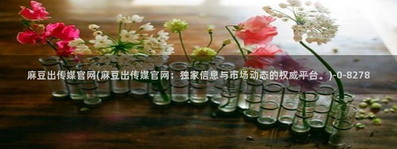 麻豆传媒官网明星：麻豆出传媒官网(麻豆出传媒官网：独家信息与市场动态的权威平台。)