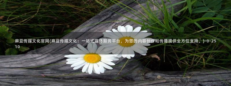 麻豆传媒直播官网
