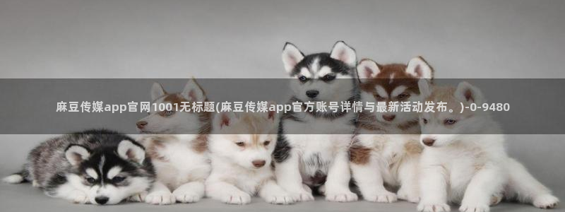 麻豆视传媒 官网入口：麻豆传媒app官网1001无标题(麻豆传媒app官方账号详情与最新活动发布。)