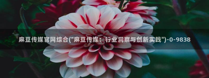 麻豆传媒映视官网：麻豆传媒官网综合(\