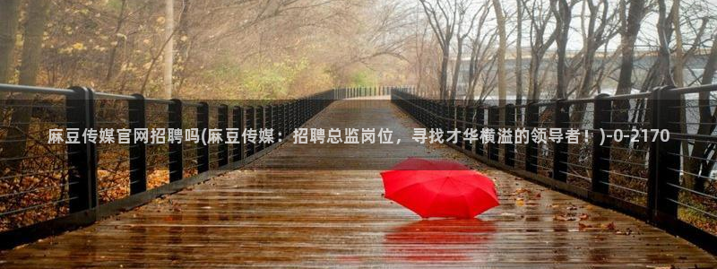 mdpub麻豆传媒官网演员