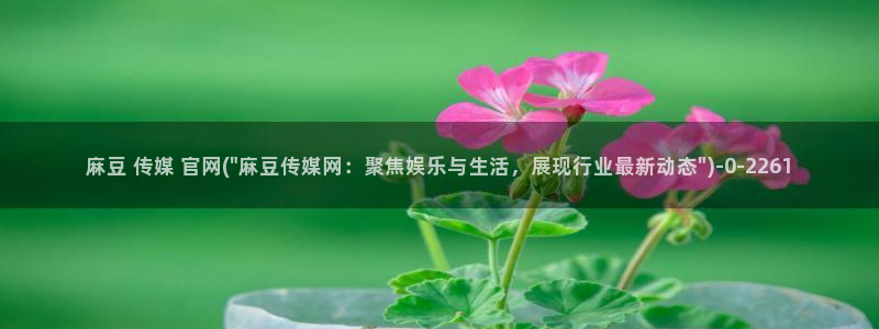 麻豆传媒官网版