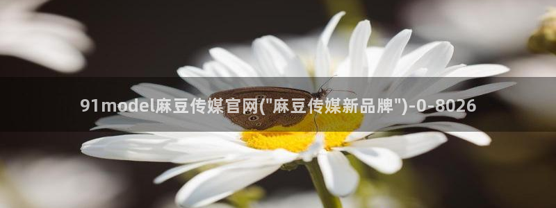 麻豆有限传媒官网