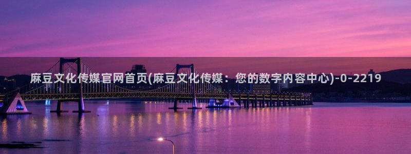 2020麻豆传媒官网