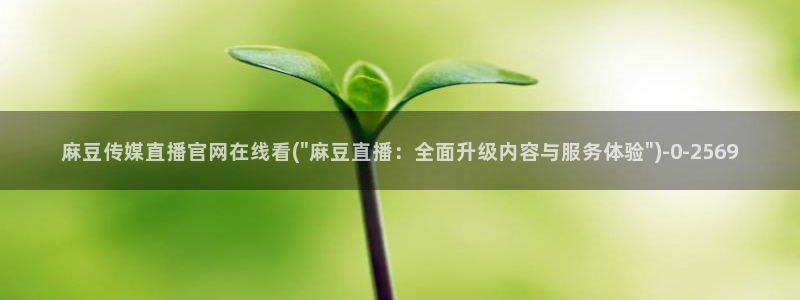 麻豆传媒官网女主播