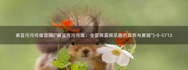 model麻豆传媒官网
