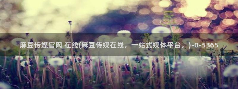 麻豆传媒影院官网