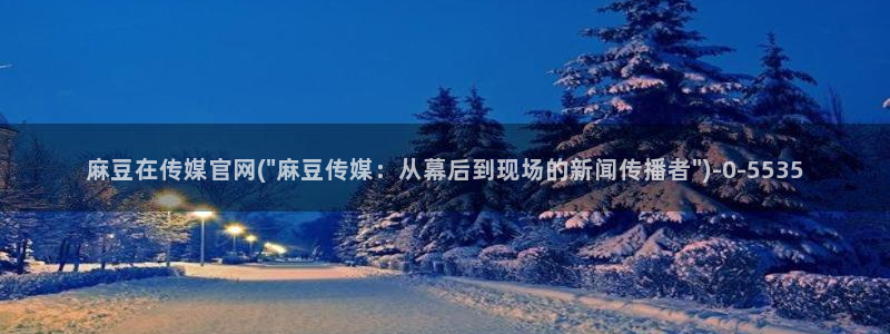 麻豆传媒App下载官网