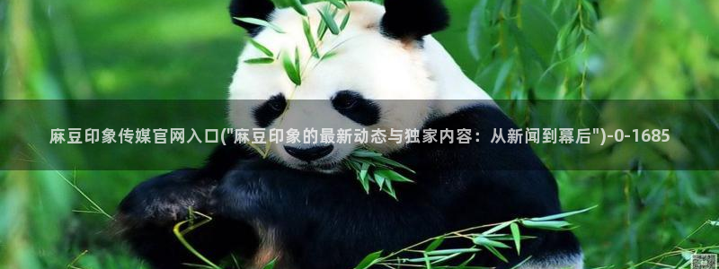 麻豆传媒官网2997577Z空间：麻豆印象传媒官网入口(\